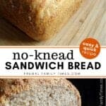 no knead sandwich bread recipe
