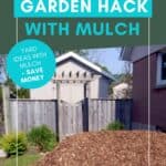 cheap mulch ideas