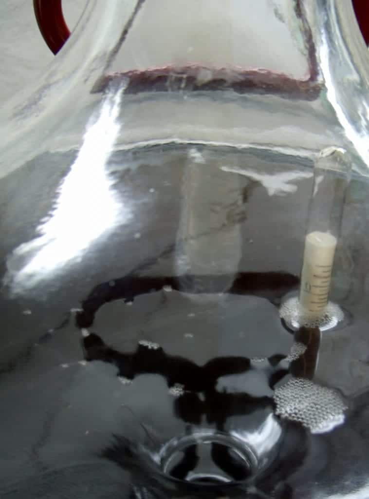 Homebrew Beer Bottling