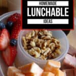 healthy homemade lunchable ideas