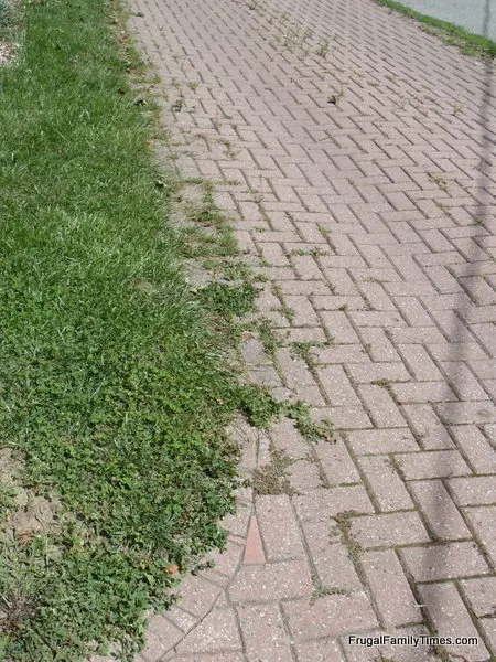 brick driveway with weeds