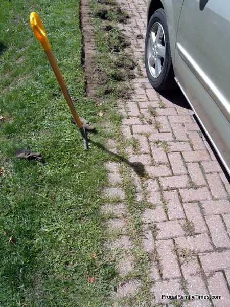 how to stop weeds from growing between cracks starts with removing weeds
