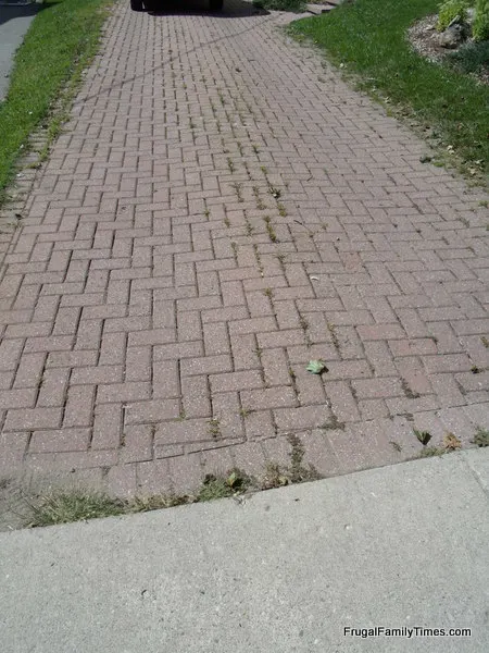 grass growing in driveway