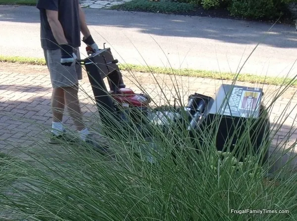 rented tool to remove weeds between bricks sweepster