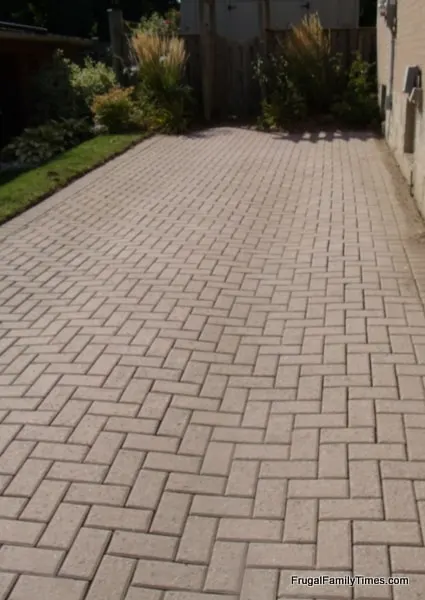 keeping block paving weed free