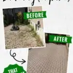 How to Stop Weeds from Growing Between Pavers (and keep it that way!)