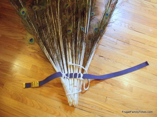homemade peacock costume