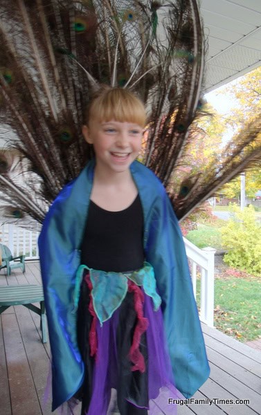 DIY peacock costume
