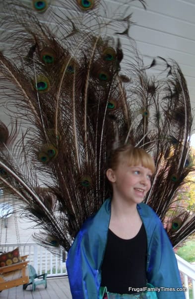 beautiful peacock halloween costume diy