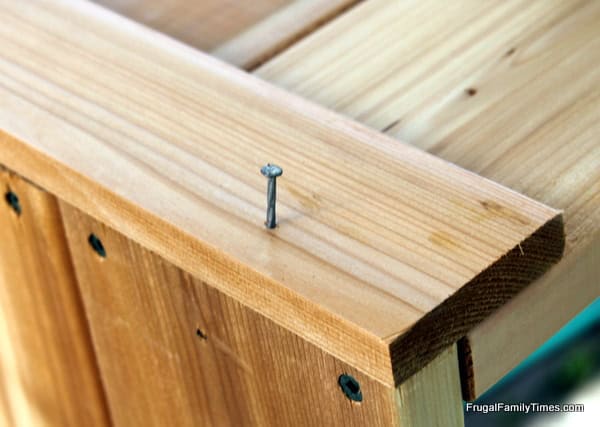 garden boxes DIY nailing together
