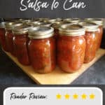 easy salsa recipe best reviews