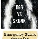 dog vs skunk kit