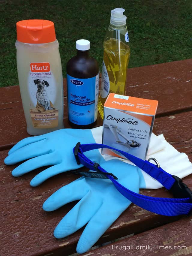 dog vs skunk kit