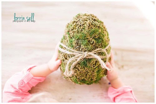 DIY Moss Covered Eggs
