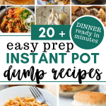 easy instant pot dump recipes