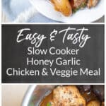 Slow Cooker Honey Garlic Chicken and Veggies Meal