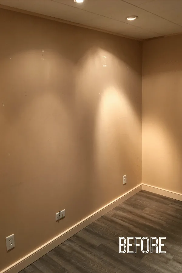 basement guest room library before