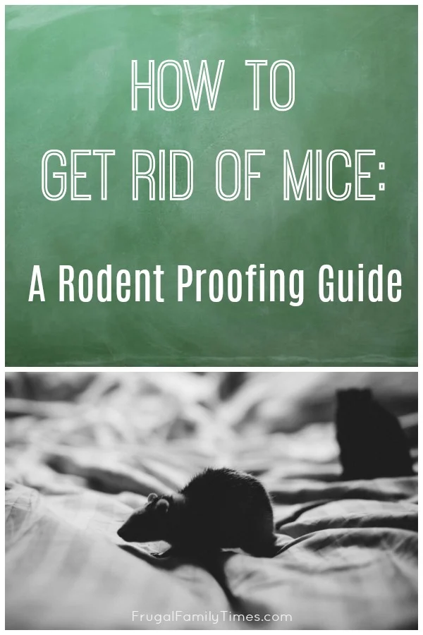 natural ways to get rid of mice