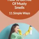 How To Get Rid Of Musty Smells 1