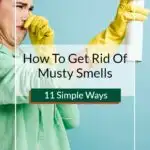 how to get rid of musty smell in basement