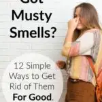 how to get rid of bad smells in cabin cottage basement