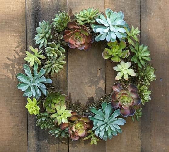 succulent wreath craft