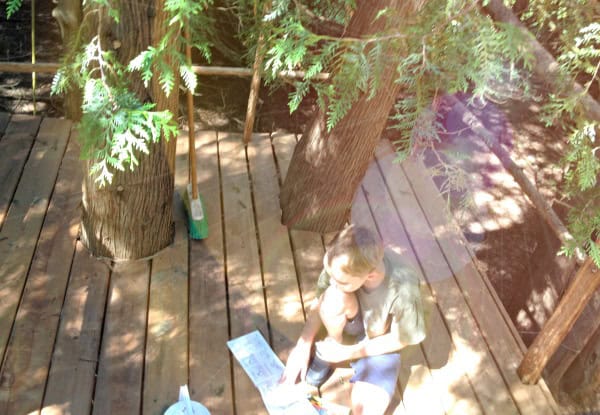 how to build a treehouse tips