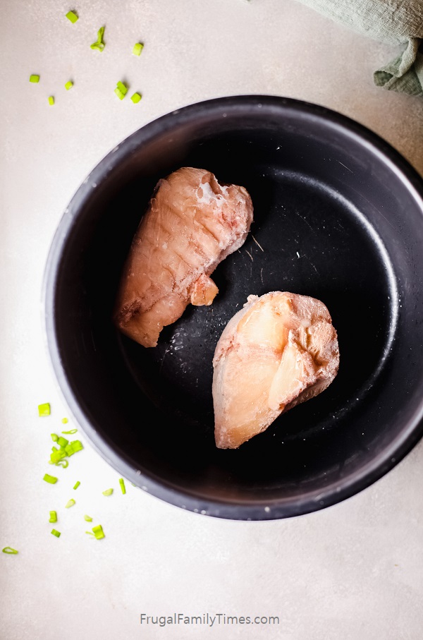 instant pot frozen chicken recipes