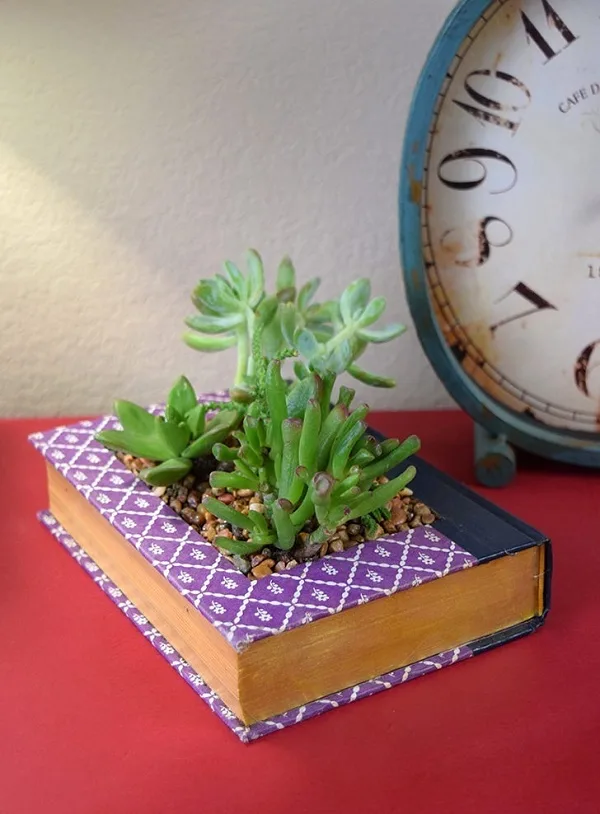 upcycled book planter with succulents