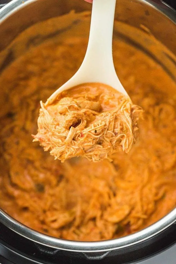 Instant Pot Creamy Salsa Chicken