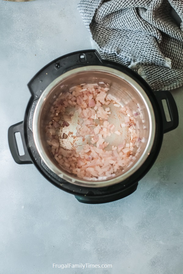 Frozen Pork Roast In Instant Pot