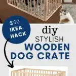 DIY Wooden Dog Crate