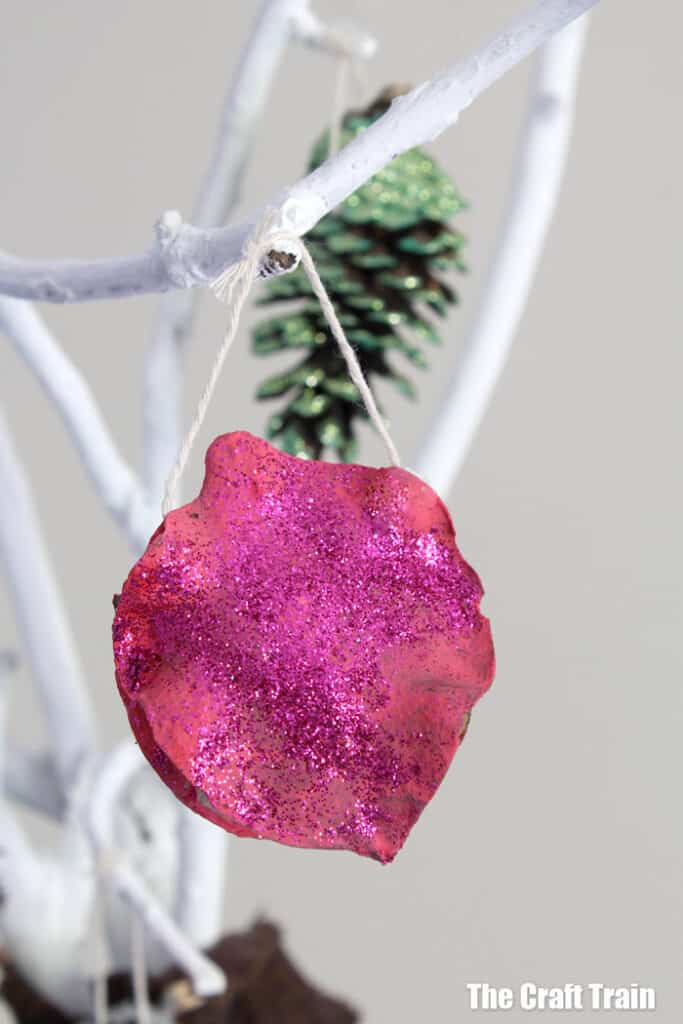 Sparkly Nature Ornaments