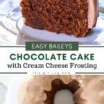Irish Cream Chocolate Cake with cream cheese frosting