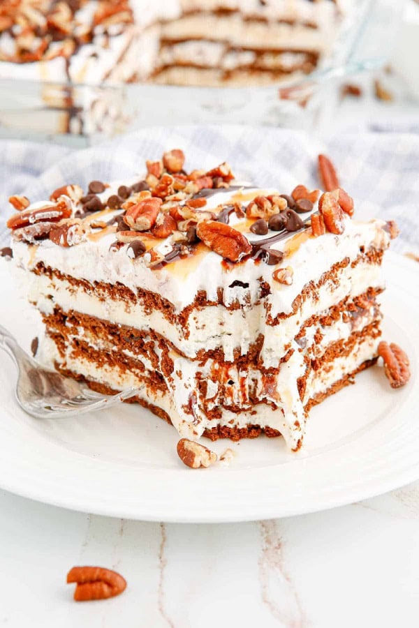 Turtle Ice Cream Sandwich Cake