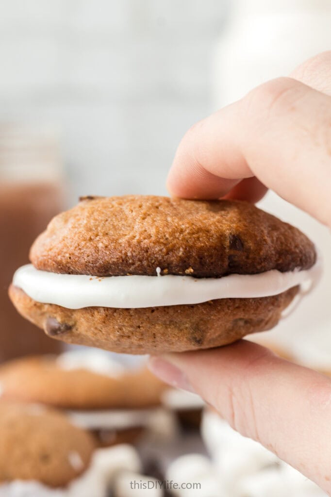 Marshmallow chocolate cookies