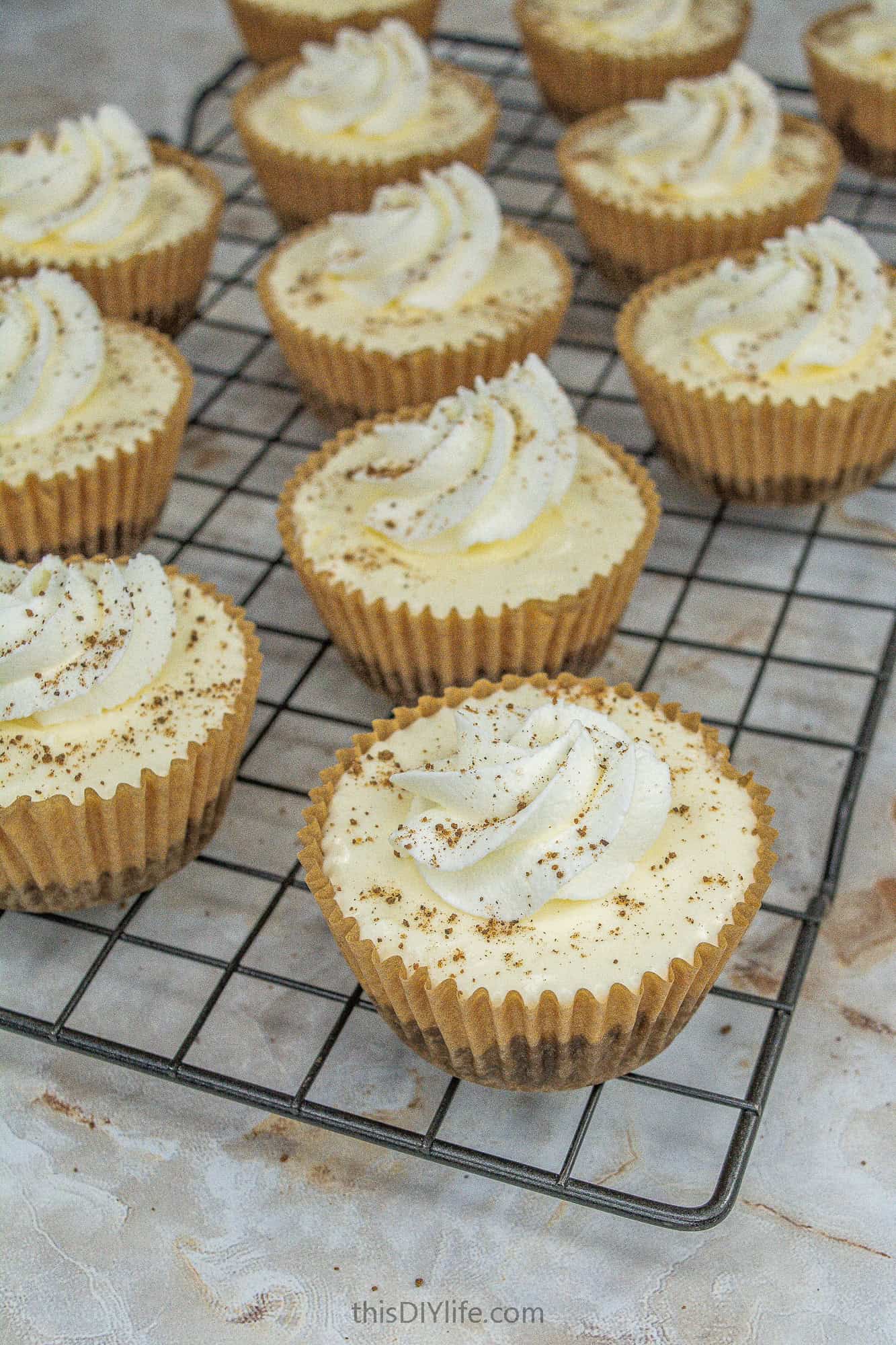 Easy No Bake Eggnog Cheesecake Recipe