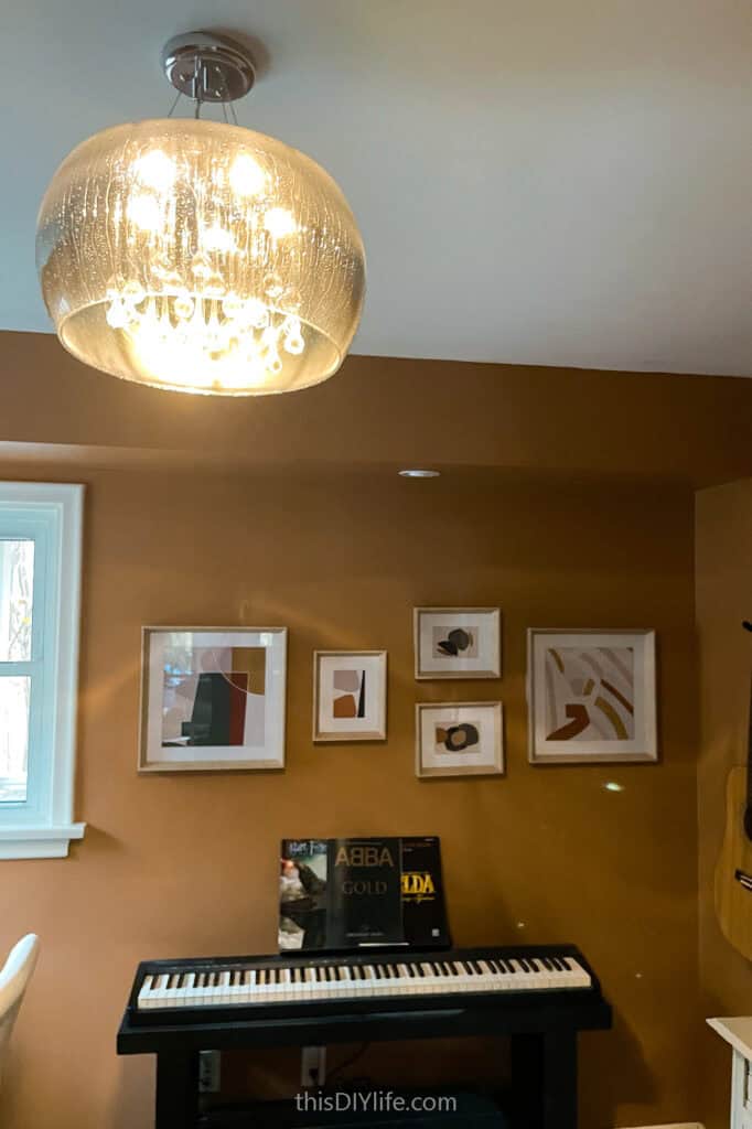 modern organic lighting