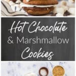 stuffed hot chocolate and marshmallow cookies