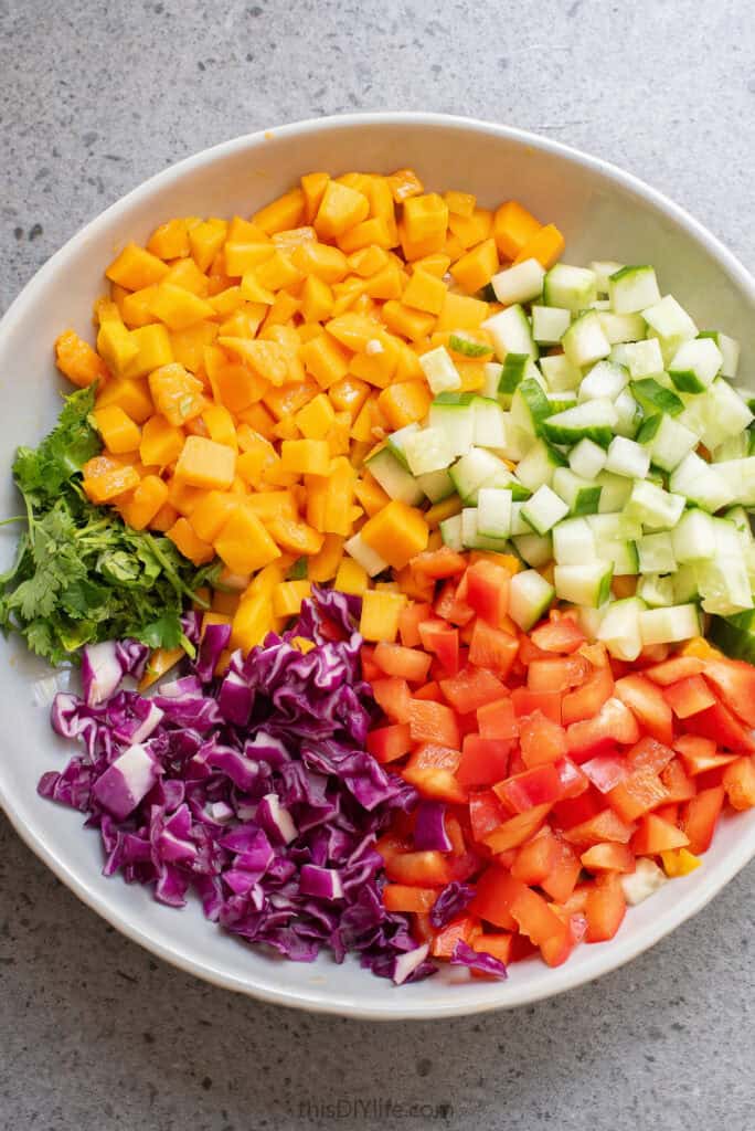 red cabbage salad