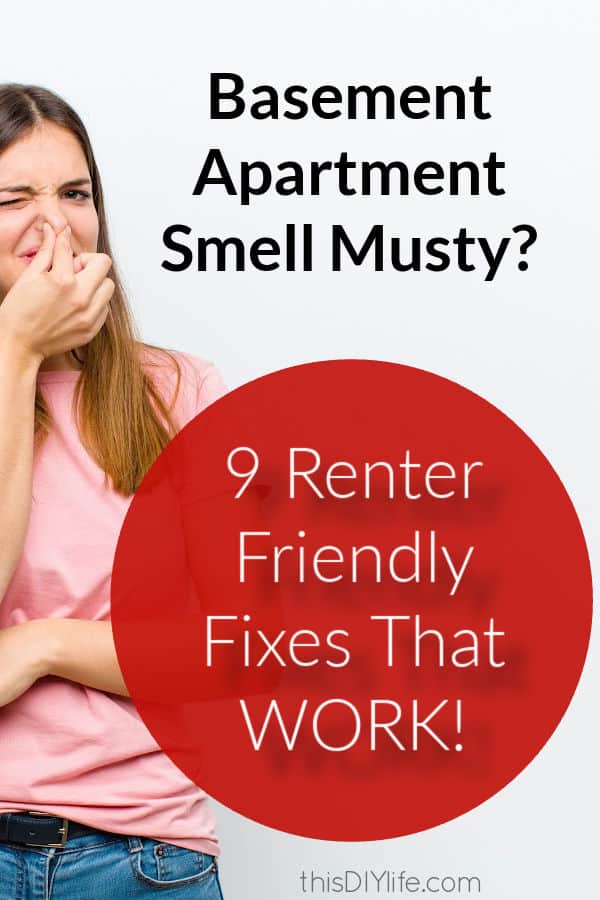 basement apartment smells musty renter fixes